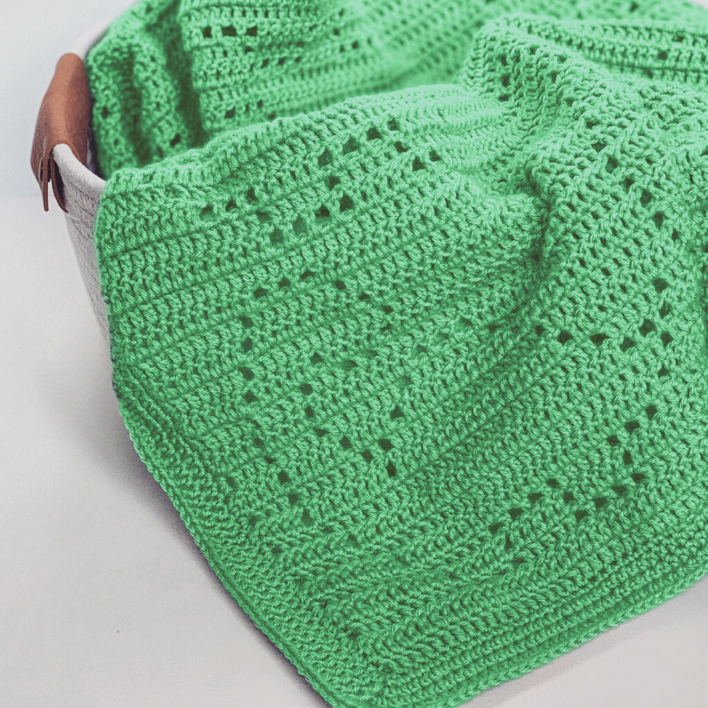 Adorable Dino Baby Blanket Pattern