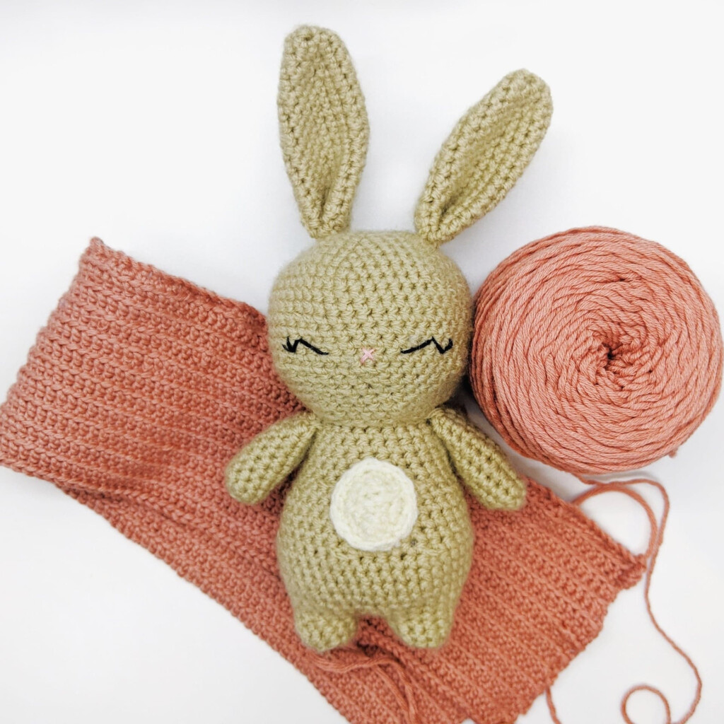 Easy Crochet Bunny Free Pattern Craftings Of Joules