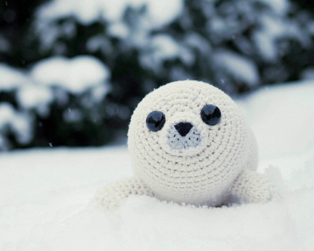 PATTERN Bubbly The Baby Seal Crochet Amigurumi In Etsy Crochet 